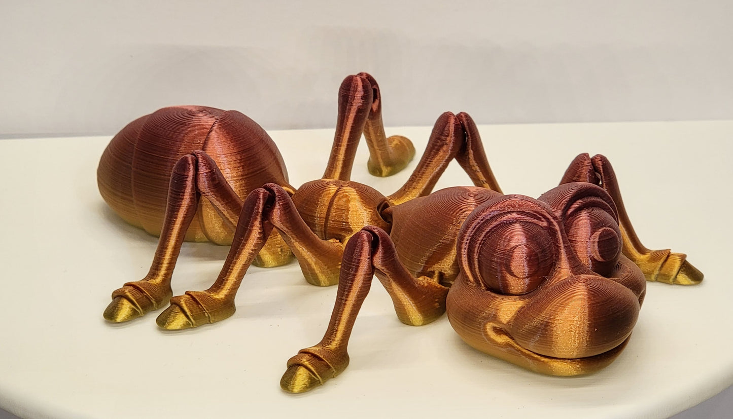 Ant