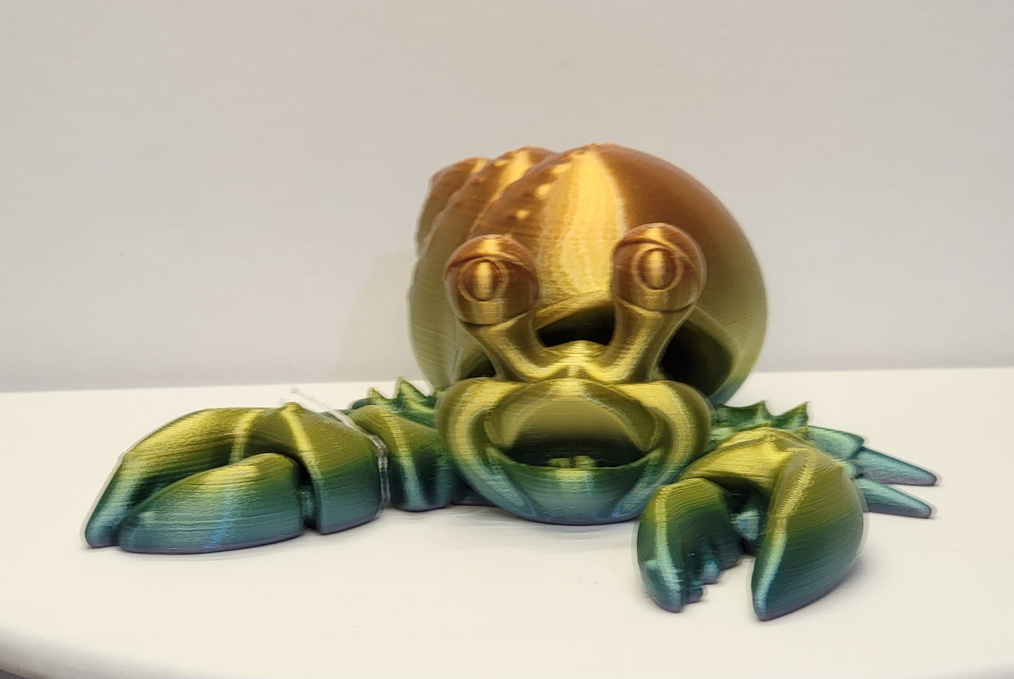 Hermit Crab