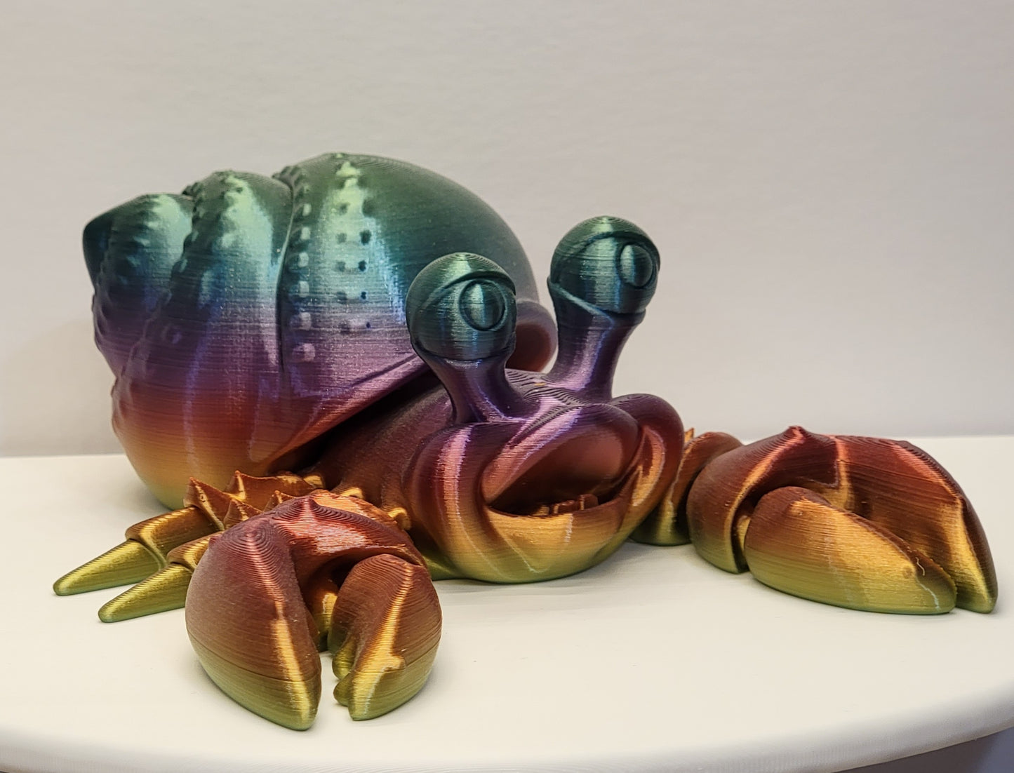 Hermit Crab