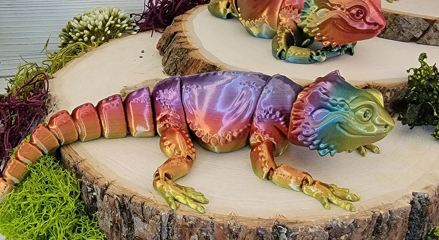 Bearded Dragon