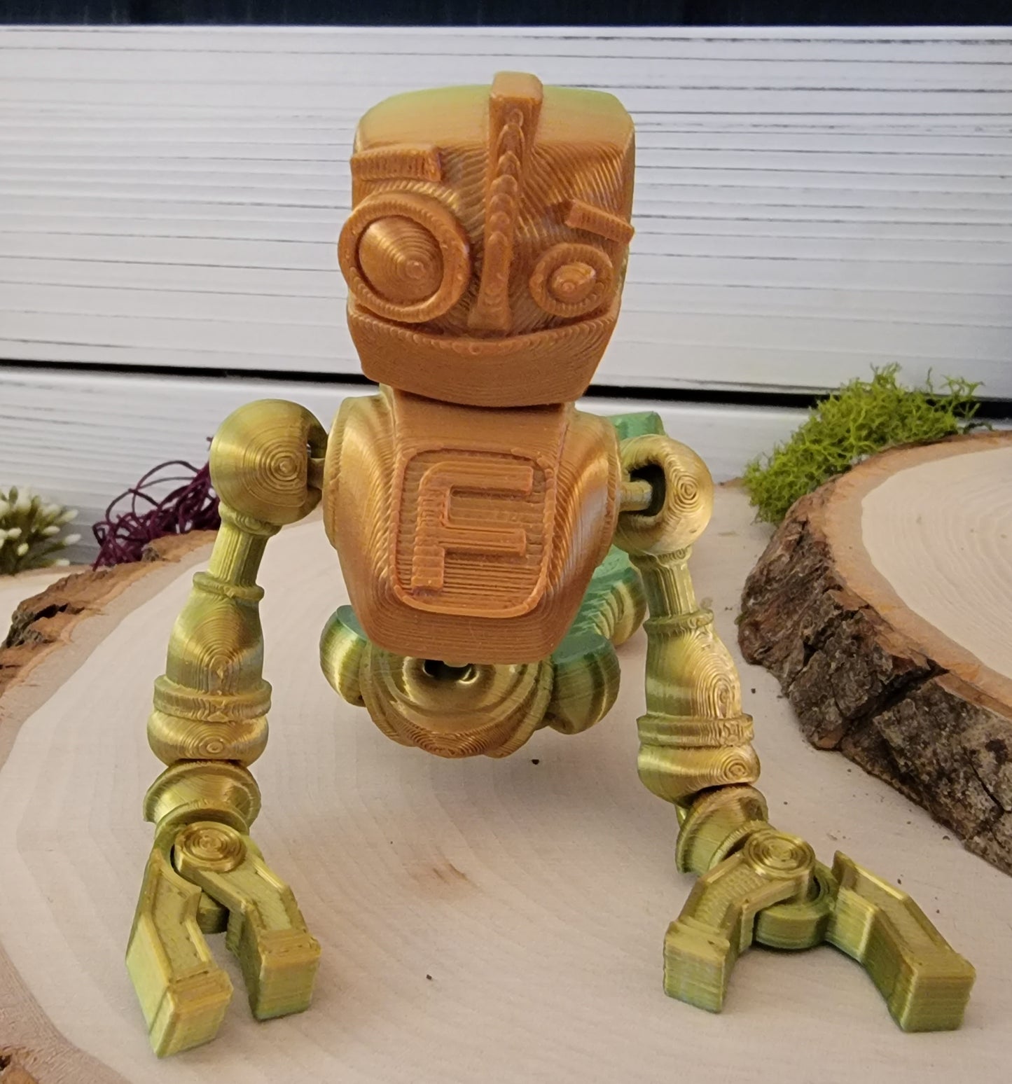 Robot