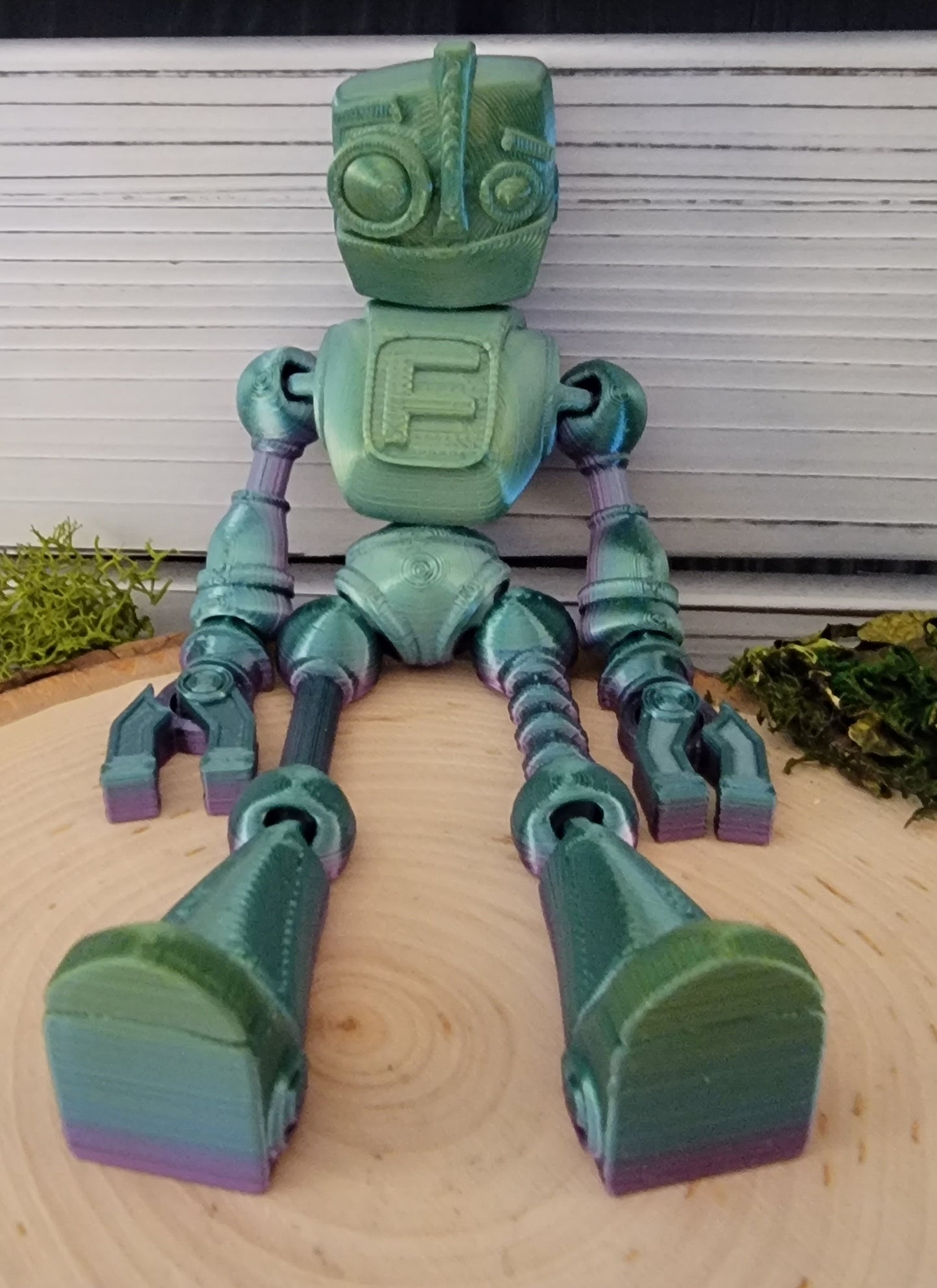 Robot