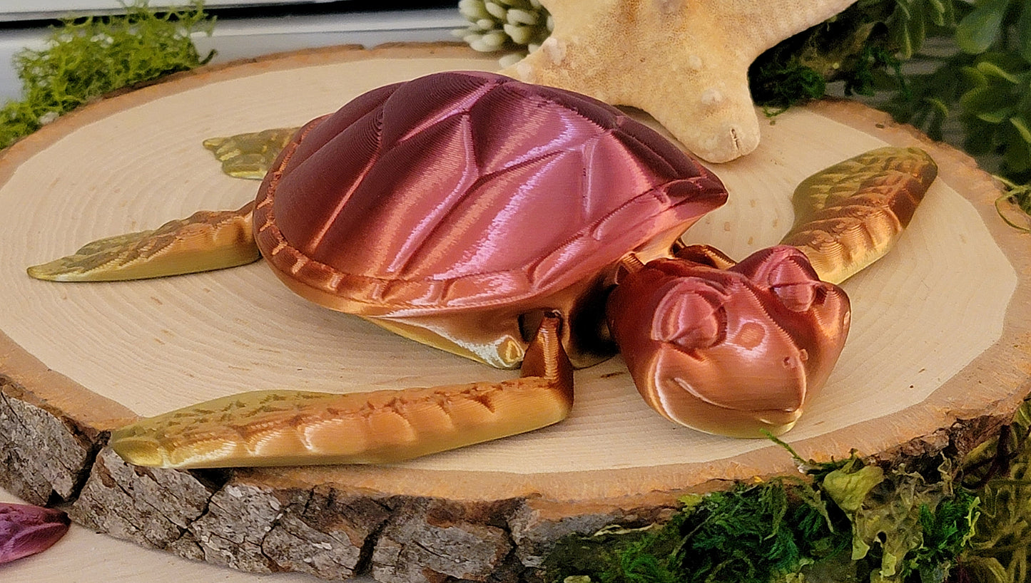 Sea Turtle