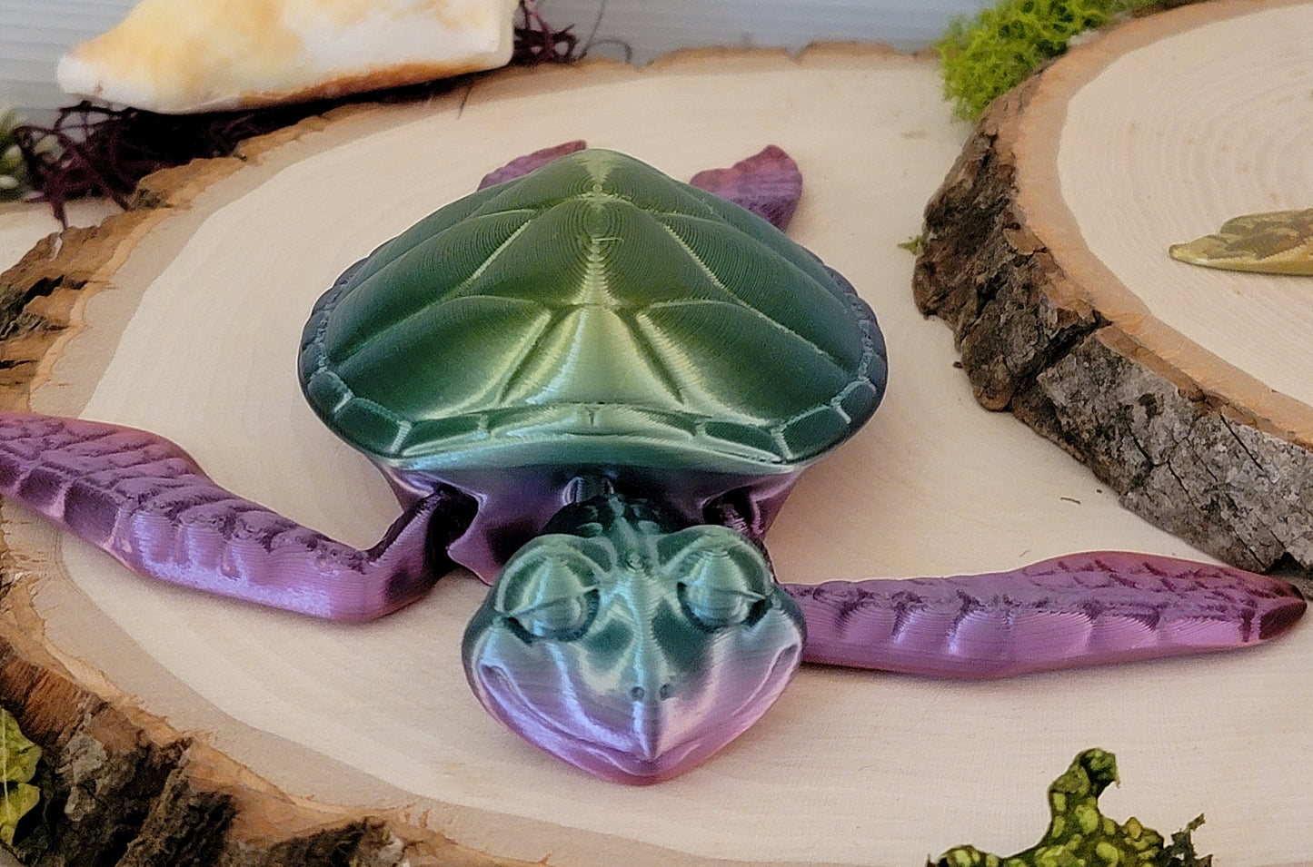 Sea Turtle