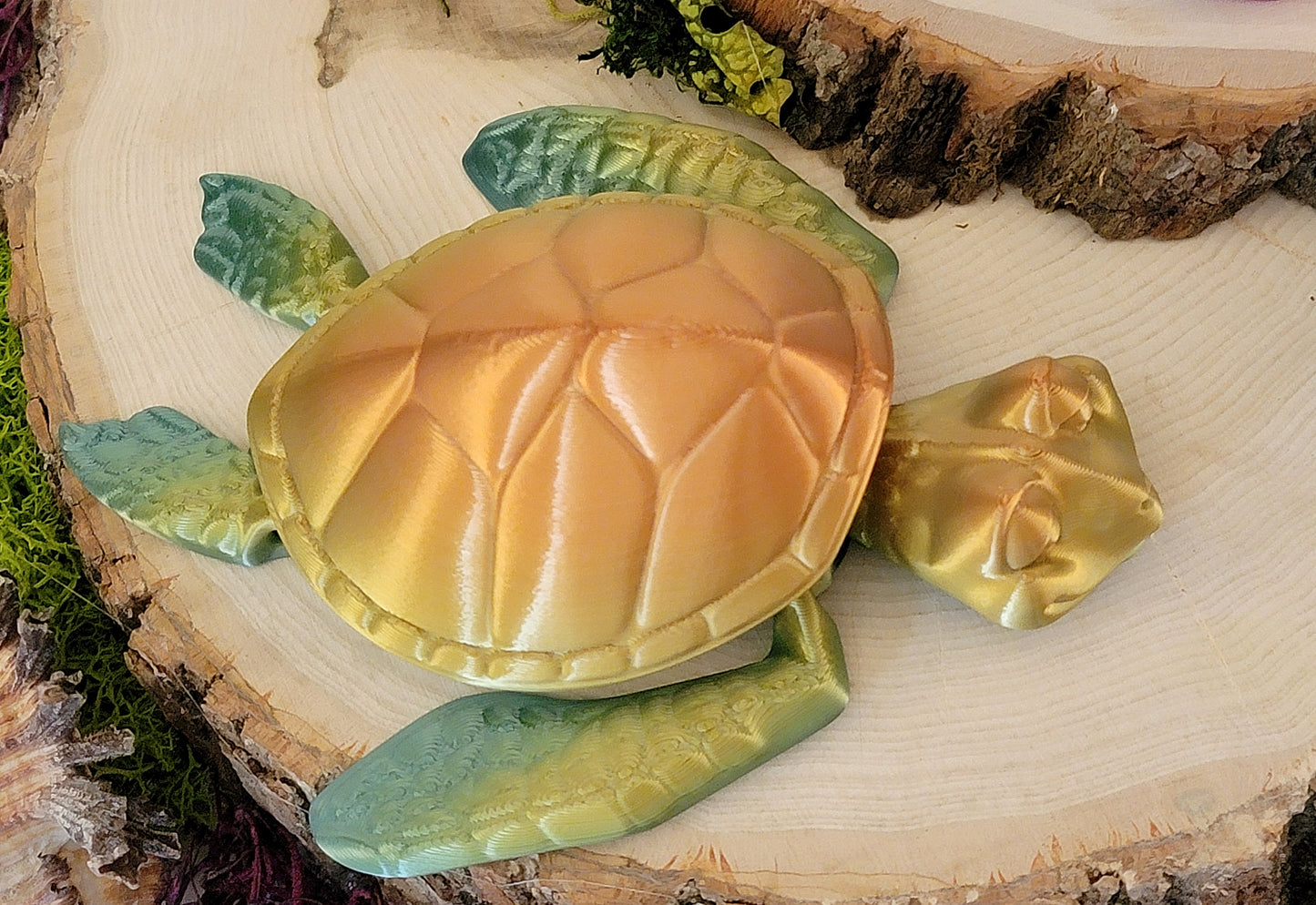 Sea Turtle
